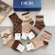 Dior Socks