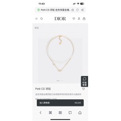 Dior Jewelry Necklace