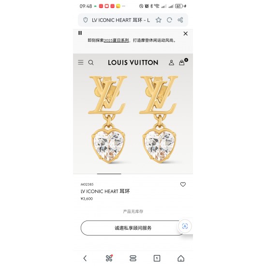 LV Jewelry Earrings