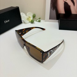 Dior Glasses
