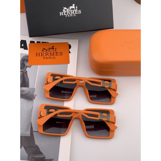 Hermes Glasses