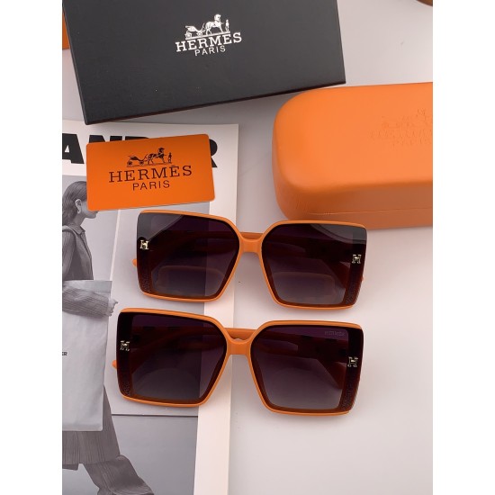 Hermes Glasses