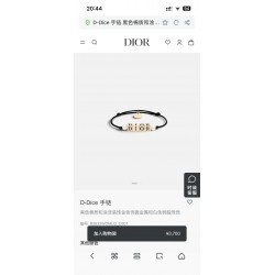 Dior Jewelry Bracelet