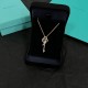 Tiffany Jewelry Necklace