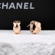 Chanel Jewelry Earrings