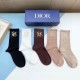 Dior Socks