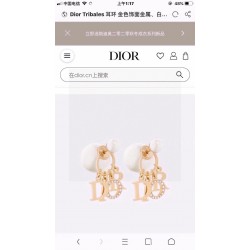 Dior Jewelry Earrings