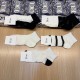 Dior Socks