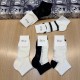 Dior Socks