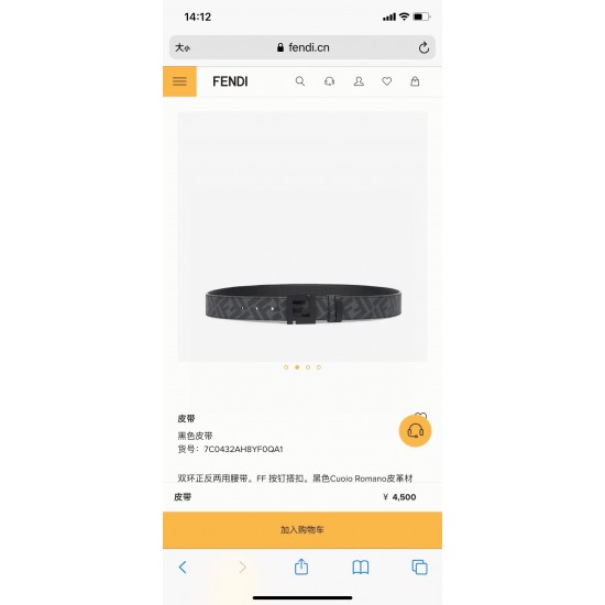 Fendi Belts
 Top Quality