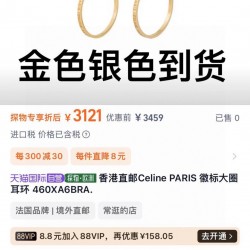 Celine Jewelry Earrings