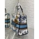 Dior Bags Top Quality
Five Grid