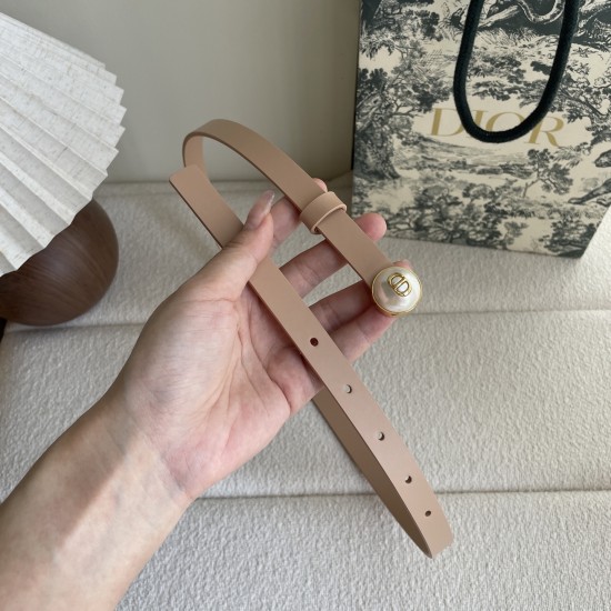 Dior Belts
 Top Quality
