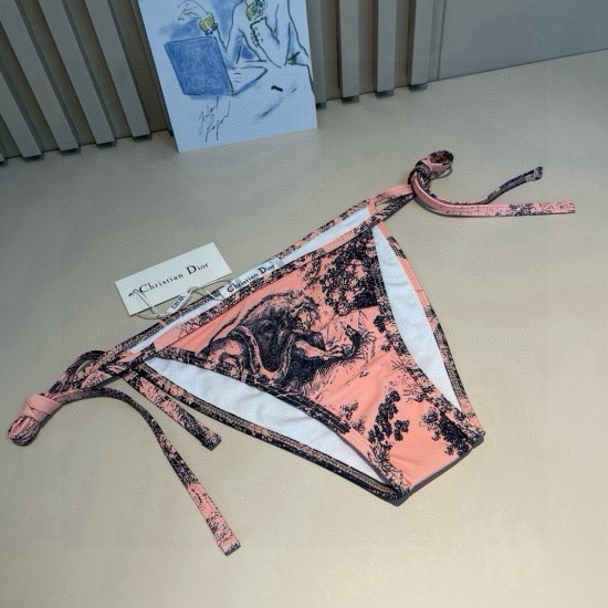 Dior Swimsuit
