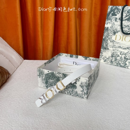 Dior Belts
 Top Quality