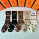 Hermes Socks