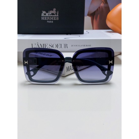 Hermes Glasses