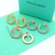 Tiffany Jewelry Earrings