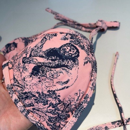 Dior Swimsuit