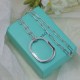 Tiffany Jewelry Necklace