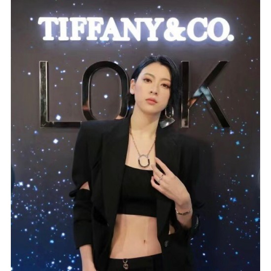 Tiffany Jewelry Necklace