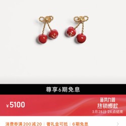 Valentino Jewelry Earrings