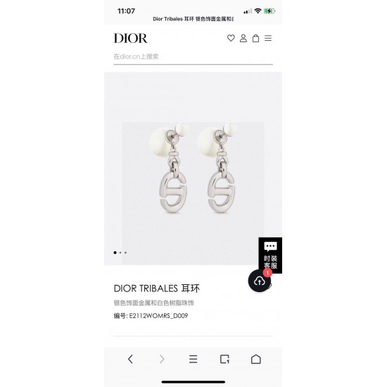 Dior Jewelry Earrings