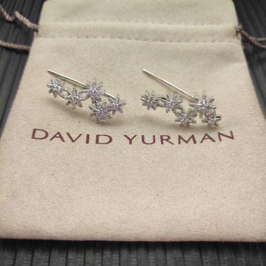 David Jewelry Earrings