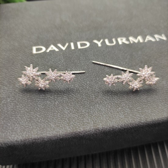 David Jewelry Earrings