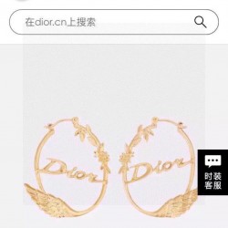 Dior Jewelry Earrings