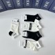 Dior Socks