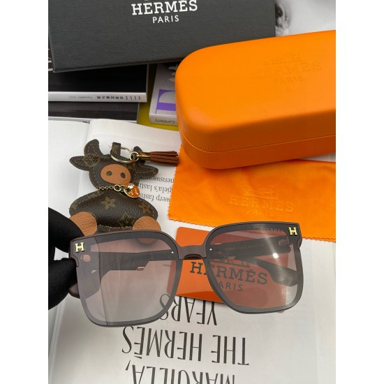 Hermes Glasses