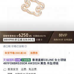 Celine Jewelry Necklace