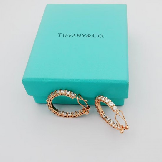 Tiffany Jewelry Earrings