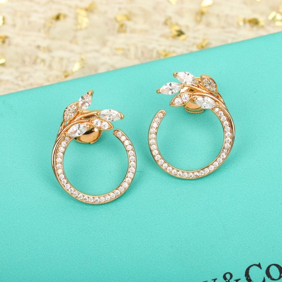 Tiffany Jewelry Earrings