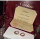 Cartier Jewelry Earrings