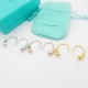 Tiffany Jewelry Earrings