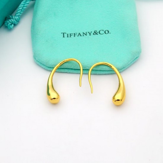 Tiffany Jewelry Earrings