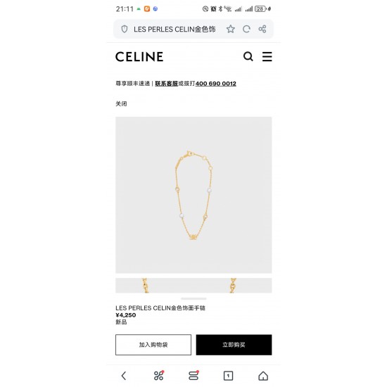 Celine Jewelry Necklace
