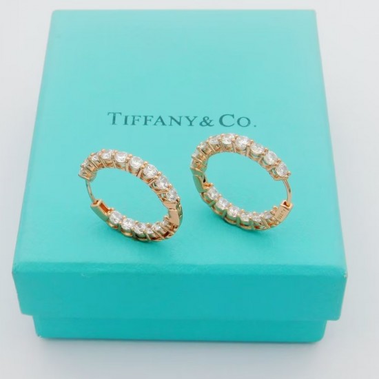 Tiffany Jewelry Earrings