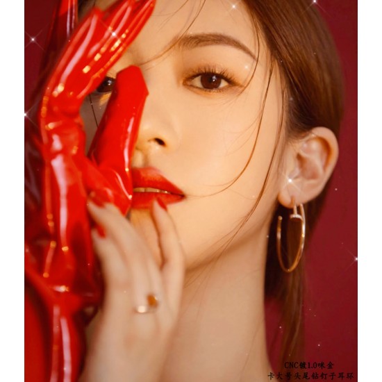 Cartier Jewelry Earrings