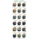 BV Top Quality Collection

