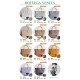 BV Top Quality Collection

