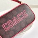 Coach Women's Bags