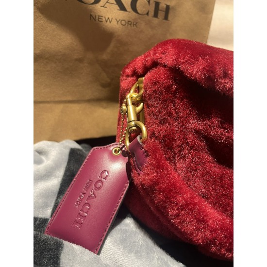 Coach Women's Bags