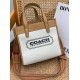 Coach Women's Bags
