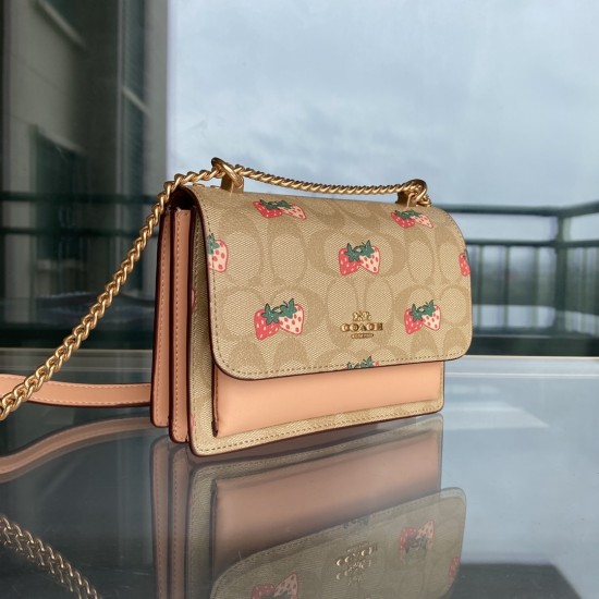 Coach Women's Bags