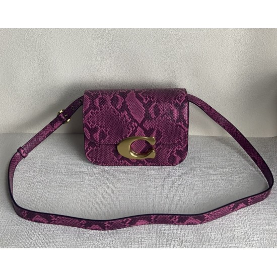 Coach Women's Bags
