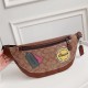 Coach Women's Bags
