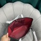 Coach Women's Bags